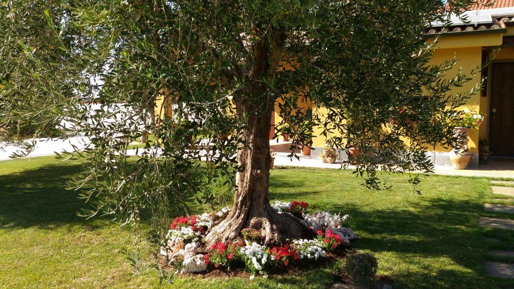 Отель L'Antico Vigneto Марино Экстерьер фото